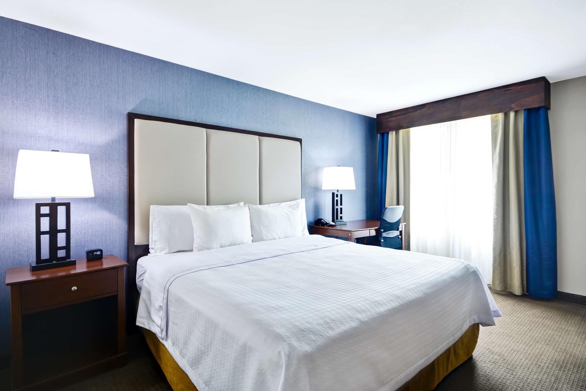 Homewood Suites By Hilton Dallas-Λούισβιλ Εξωτερικό φωτογραφία